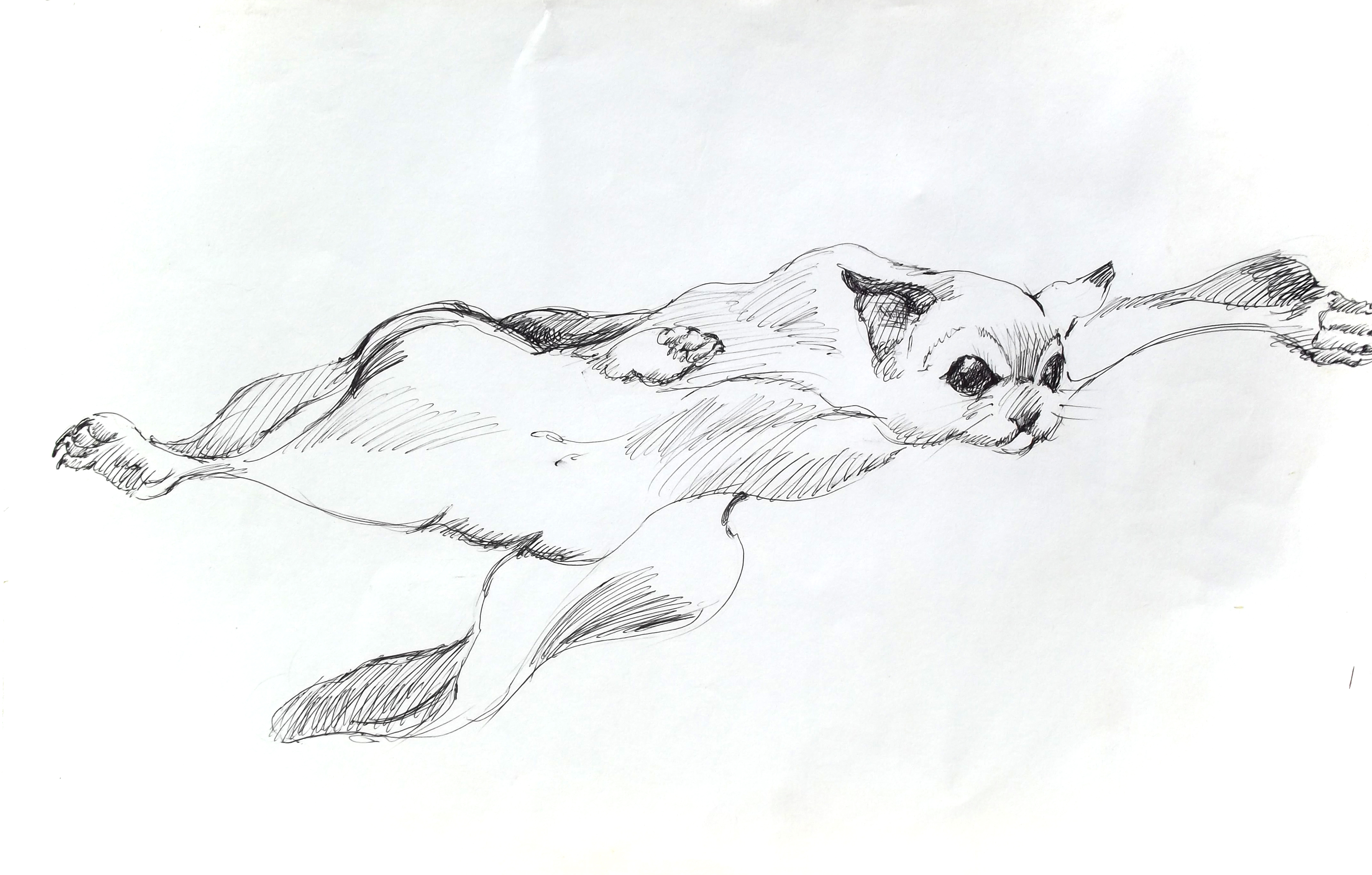 https://guillermopuentelomelin.com/./images/galerias/12/ARDILLAvoladora1.jpg